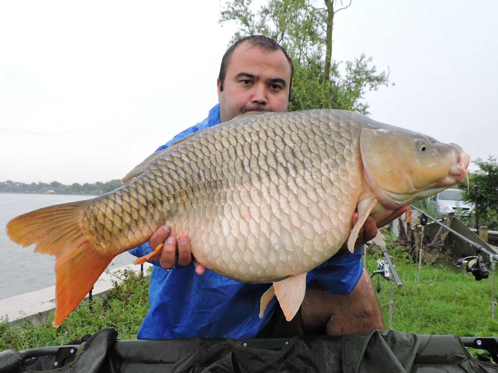 My Passion - rscn2702.JPG